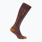 Men's ski socks Icebreaker Merino Ski+ java/trail/seaglass