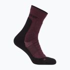 Men's socks icebreaker Merino Hike+ Heavy Crew java/black