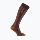Men's ski socks Icebreaker Merino Ski+ Medium OTC java/trail/seaglass