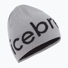 Winter hat icebreaker Merino Icebreaker Beanie alloy/black