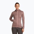 Icebreaker women's Merino 260 Quantum IV Zip Hoodie summit/blush