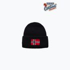 Men's winter hat Napapijri F-Evei black beauty