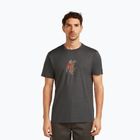 Men's T-shirt icebreaker Merino 150 Tech Lite Bear Catch Tee obsidian