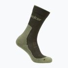 Men's socks icebreaker Merino Hike+ Light Crew dark loden/lichen