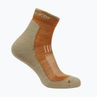 Men's socks Icebreaker Merino Hike+ Light Mini trail/flagstone