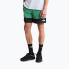 Men's trekking shorts The North Face Leynar dimmed algae/tnf black