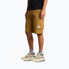Men's trekking shorts The North Face Exploration Cargo Shorts utility brown