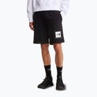 Men's trekking shorts The North Face Box Nse Light Regular Shorts black