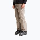 Men's ski trousers The North Face Descendit stone slab
