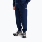 Men's trousers The North Face Evolution Simple Dome Regular Joggers summit navy