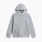 Children's sweatshirt The North Face Evolution Simple Dome Pullover Hood tnf pale grey heather