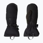 Ski gloves The North Face Montana Mitt tnf black
