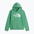 Children's sweatshirt The Noryh Face Essential Drew Peak Hoodie dimmed algae