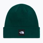 Winter hat The North Face Dock Worker Recycled Beanie hunter green