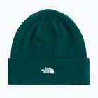 Winter hat The North Face Norm Beanie hunter green