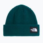 Winter hat The North Face Salty Lined pacific teal