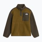 Children's fleece sweatshirt The North Face Yumiori 1/4 Zip caraway seed/ne