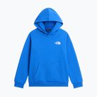 Children's sweatshirt The North Face Evolution Box NSE Pullover Hoodies active blue
