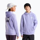 Children's sweatshirt The North Face Evolution Box NSE Pullover Hoodies pale plum