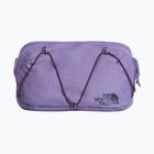 Waist bag The North Face Terra Lumbar 1 l grounded plum/endless