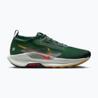 Men's running shoes Nike Pegasus Trail 5 GORE-TEX fir/bright crimson/clay green