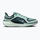 Women's running shoes Nike Pegasus 41 GORE-TEX cannon/barely green/bleached turq