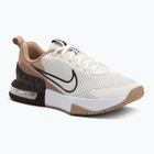 Men's training shoes Nike Air Max Alpha Trainer 6 sail/baroque brown/hemp/desert dust