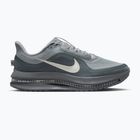 Men's running shoes Nike Pegasus Premium wolf grey/cool grey/anthracite/sail
