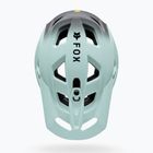 Bike helmet Fox Racing Speedframe Pro Backfade frost