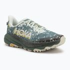 Men's running shoes HOKA Speedgoat 6 GTX sea flass/fern