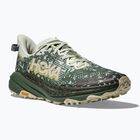 Men's running shoes HOKA Speedgoat 6 GTX sea flass/fern