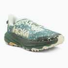 Men's running shoes HOKA Speedgoat 6 GTX sa glass/fern