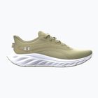 Men's running shoes Under Armour Ascend khaki base/summit white/castlerock
