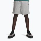 Men's training shorts Under Armour Rival LW mod gray light heather/black