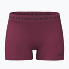 Women's training shorts Under Armour HeatGear Shorty claret/ox blood