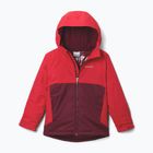 Children's ski jacket Columbia Alpine Action III Rich Wine melange/mountain red