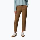 Men's trekking trousers Columbia ROC Straight Leg delta