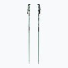 Ski poles Salomon Steep iceberg green/black