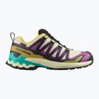 Women's running shoes Salomon XA PRO 3D V9 GTX transparent yellow/black/waterfall