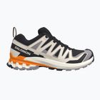 Men's running shoes Salomon XA Pro 3D V9 black/gull