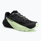 Men's running shoes Salomon Pulsar black/black/patina green