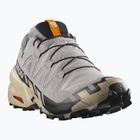 Men's running shoes Salomon Speedcross 6 GTX gull/white pepper/black