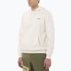 Men's sweatshirt Salomon Chest Logo Hoodie whisper white