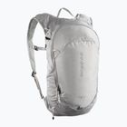 Hiking backpack Salomon Trailblazer 10 l cloudburst/paloma/silver
