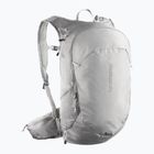 Hiking backpack Salomon Trailblazer 20 l cloudburst/paloma/silver