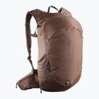 Hiking backpack Salomon Trailblazer 20 mustang/black coffee