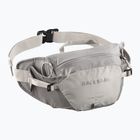Waist bag Salomon Trailblazer cloudburst/paloma/silver