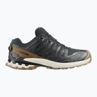 Men's running shoes Salomon XA PRO 3D V9 GTX Lifelong black/coyote brown/vanilla ice