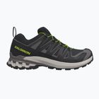 Men's running shoes Salomon XA Pro 3D V9 black/dark gull gray/acid lime