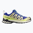 Men's running shoes Salomon XA Pro 3D V9 bluing/bog/acid lime